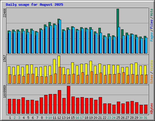 Daily usage for August 2025