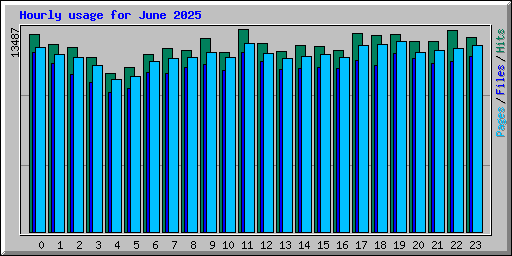 Hourly usage for June 2025
