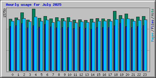 Hourly usage for July 2025