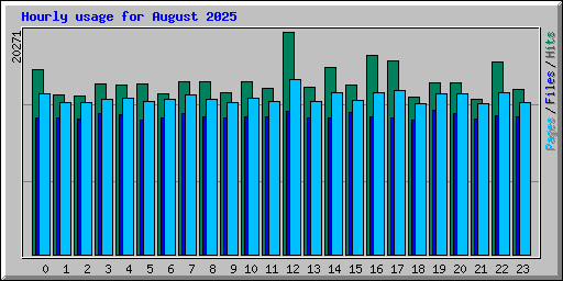 Hourly usage for August 2025