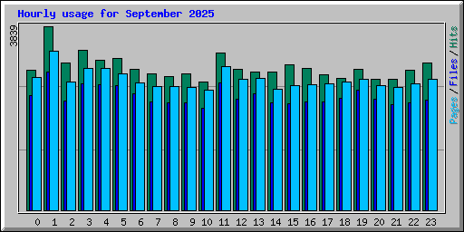 Hourly usage for September 2025