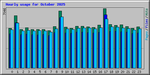 Hourly usage for October 2025